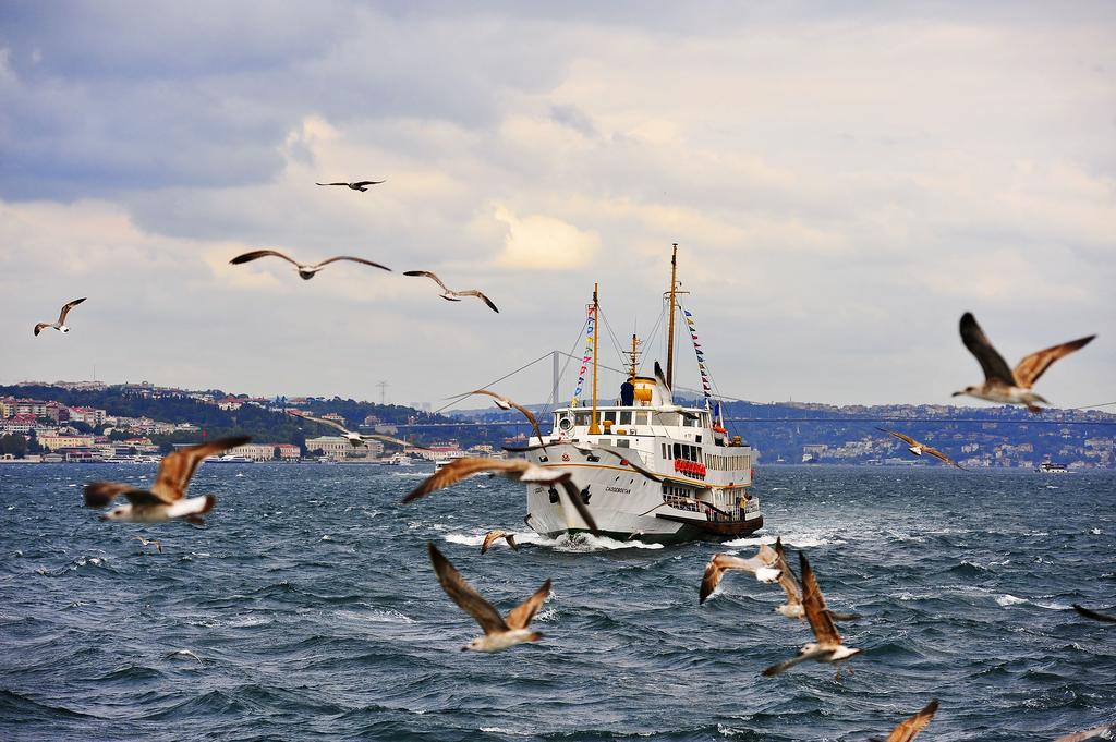 Hotel Erenler & 2*